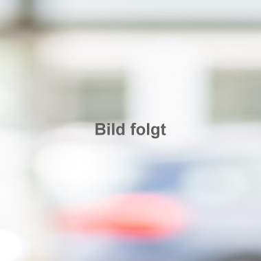 Verkaufsleiter